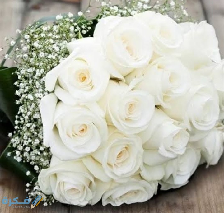 IMG ٢٠٢٠٠٨٢٢ ٢٣٥٧١١