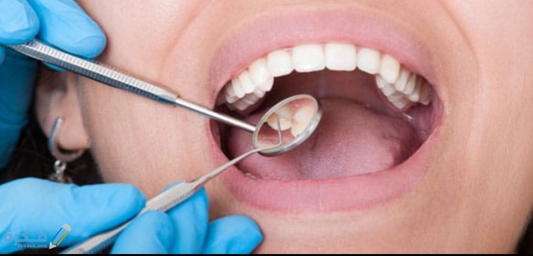 IMG ٢٠٢٠٠٨٢٣ ١١٣٠٠٤