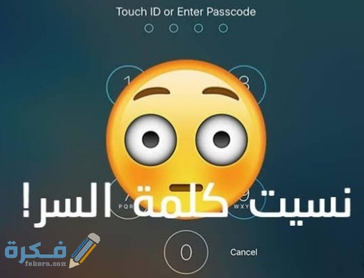 IMG ٢٠٢٠٠٨٢٣ ٢٢٠٤٢٣