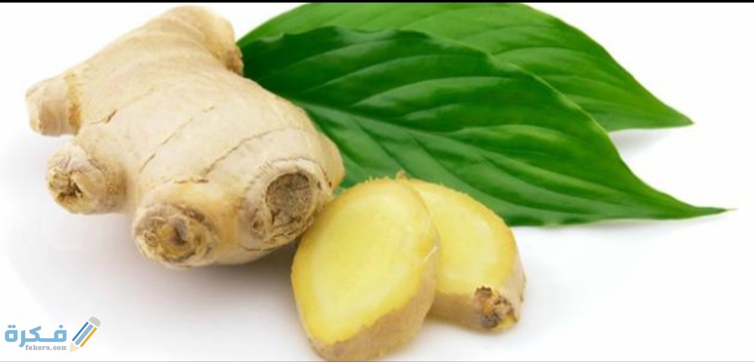 IMG ٢٠٢٠٠٨٢٤ ١٥١٠٢٥