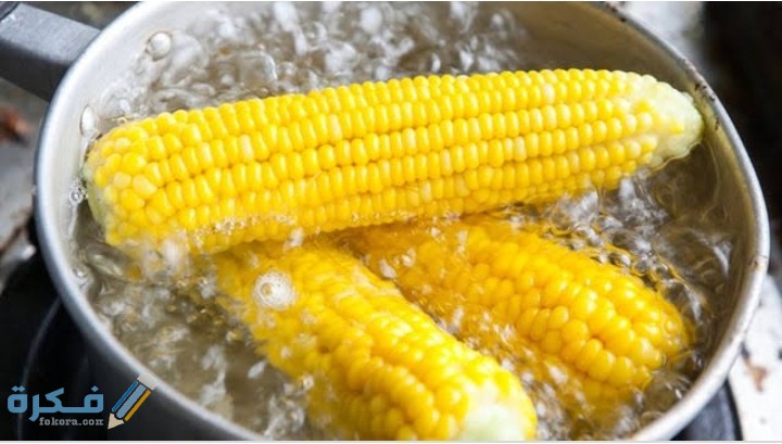 IMG ٢٠٢٠٠٨٢٦ ٠١٠١٠٨