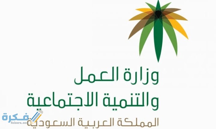 IMG ٢٠٢٠٠٨٢٨ ٠١٤٦٠٠