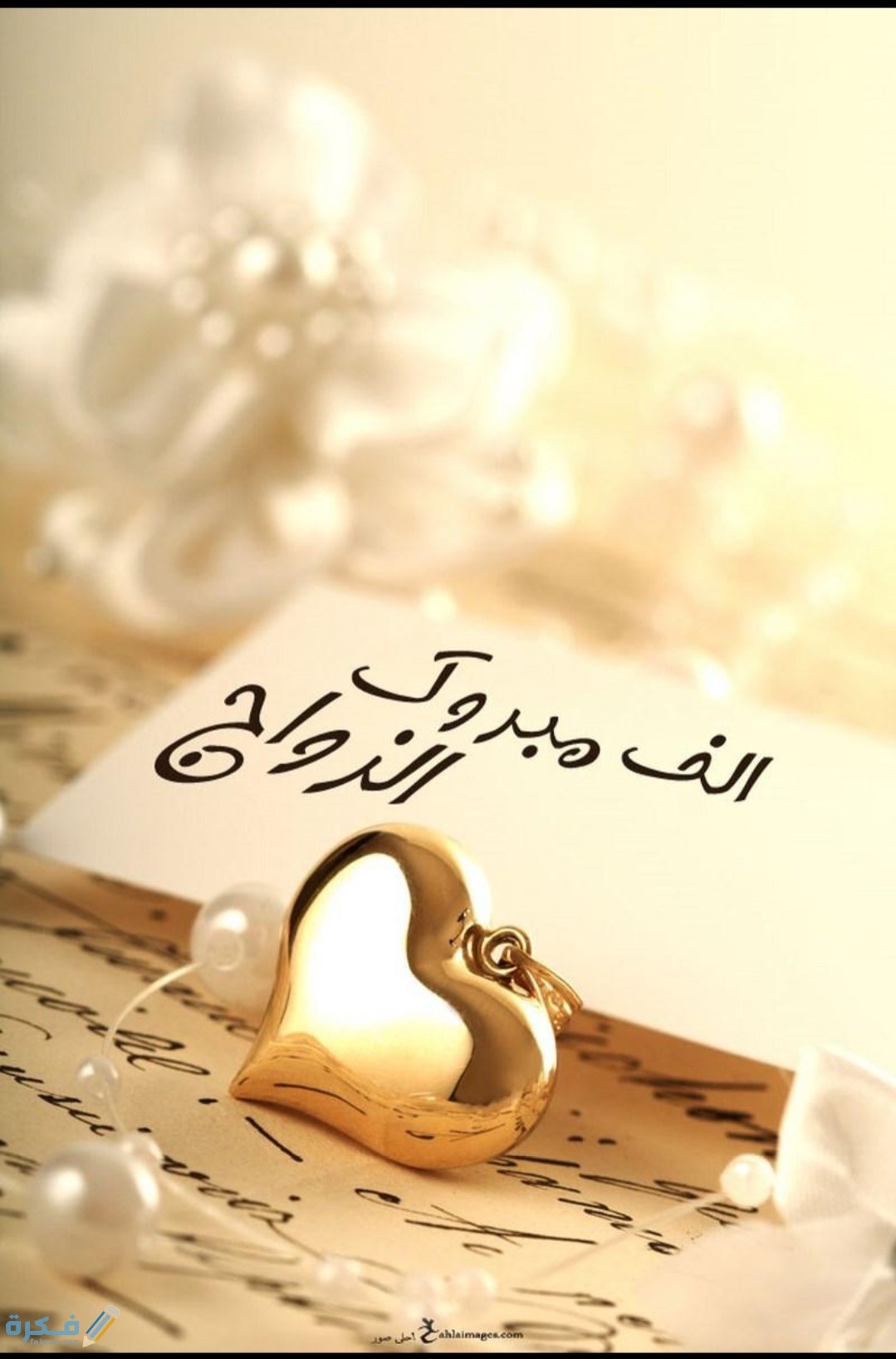 IMG ٢٠٢٠٠٨٢٨ ١٠٣٩٢٤