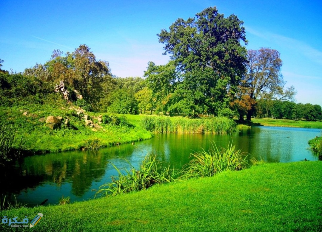 IMG ٢٠٢٠٠٨٢٨ ١٤٢٣٤٩