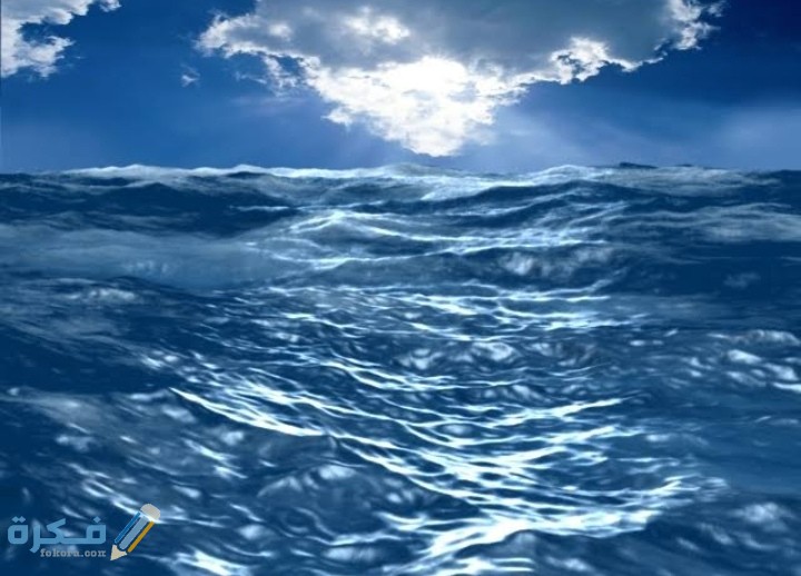 IMG ٢٠٢٠٠٨٢٩ ٠٢١٥٤٠