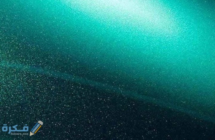 IMG ٢٠٢٠٠٨٢٩ ٠٢١٧٣٢