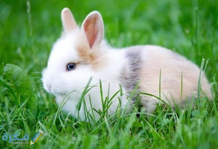 IMG ٢٠٢٠٠٨٣١ ٠١٣٩٢١