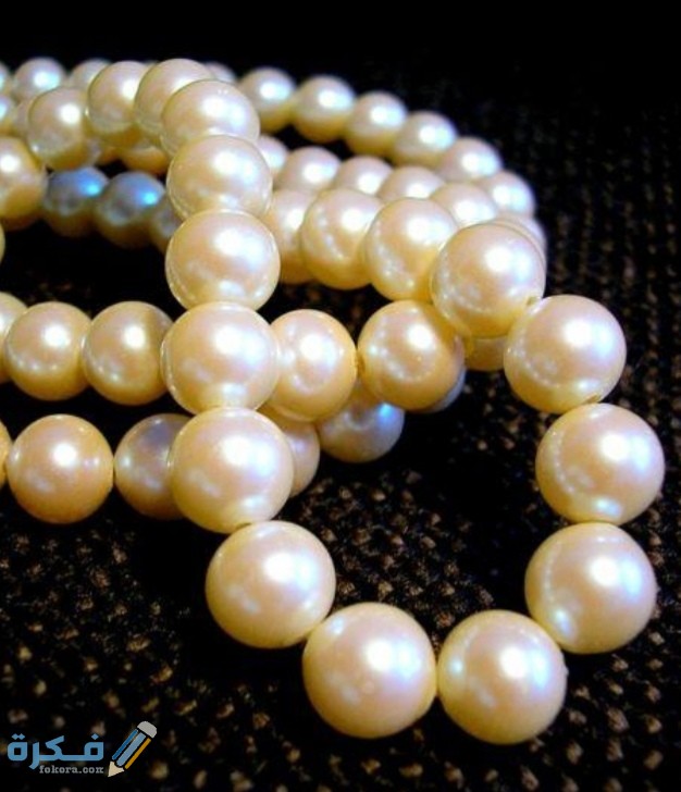 IMG ٢٠٢٠٠٨٣١ ٠١٤٠٥٤