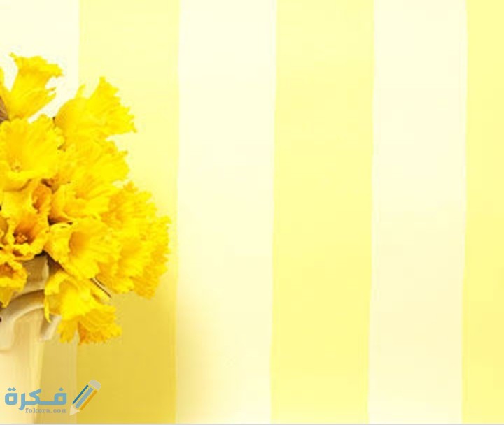 IMG ٢٠٢٠٠٨٣١ ٠١٤٥٠٤