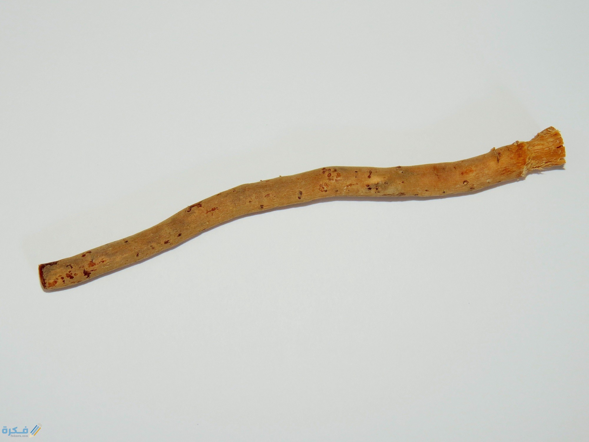 Miswak 2014