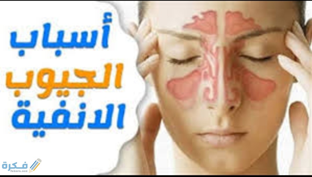 inbound1819695551824412859