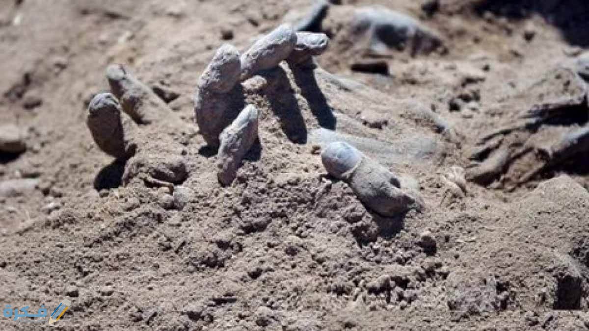 تفسير رؤية الجثث