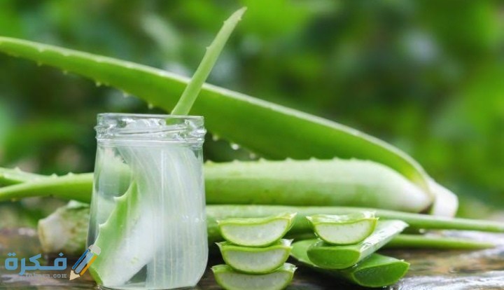 IMG ٢٠٢٠٠٩٠٣ ٠١١٦٣٤