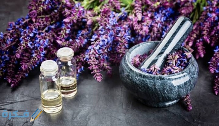 IMG ٢٠٢٠٠٩٠٤ ٠٢٠٢١٧