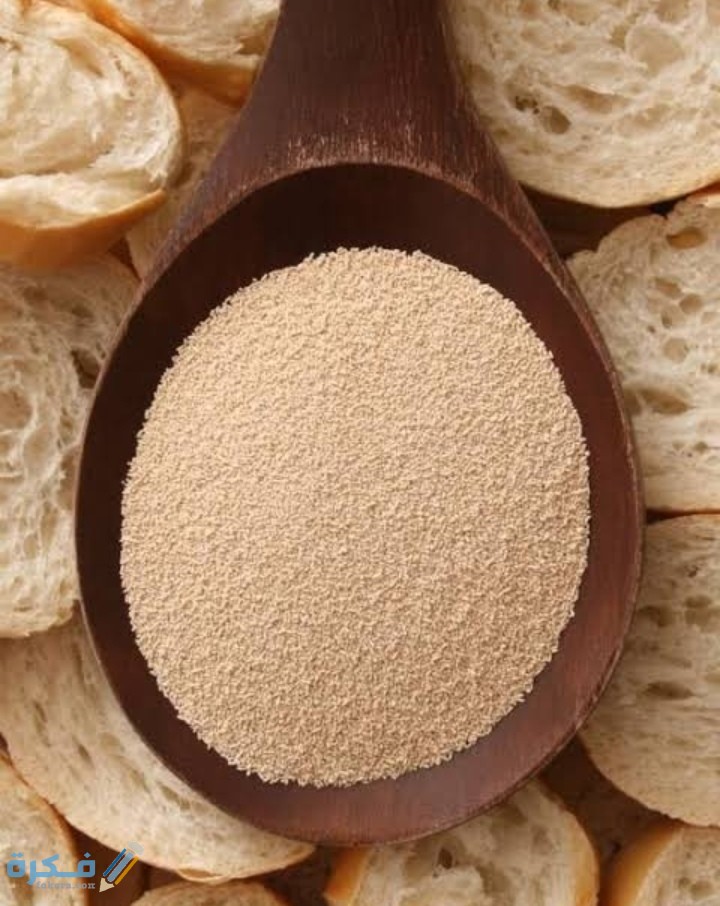 IMG ٢٠٢٠٠٩٠٤ ٠٢٠٢٣٩