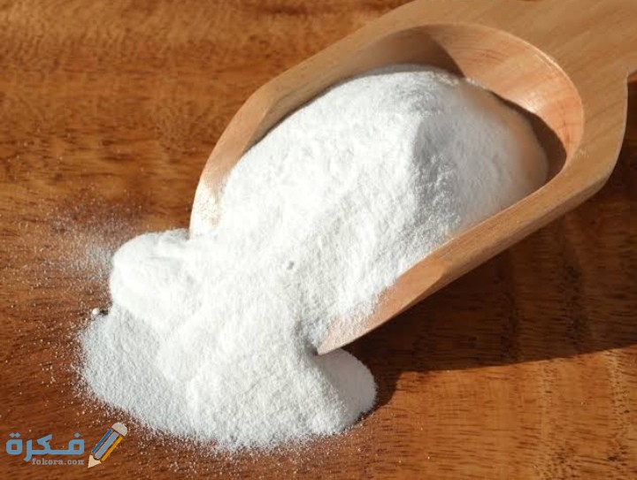 IMG ٢٠٢٠٠٩٠٦ ٠٢٣٧٣٤