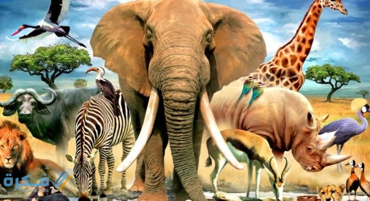 IMG ٢٠٢٠٠٩١٥ ٢١٠٢٣٩