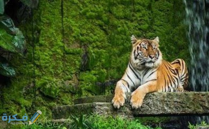 IMG ٢٠٢٠٠٩١٥ ٢١٠٣٣٢