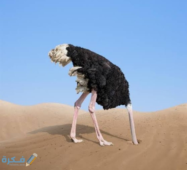 IMG ٢٠٢٠٠٩١٦ ٢٠١١٢٣