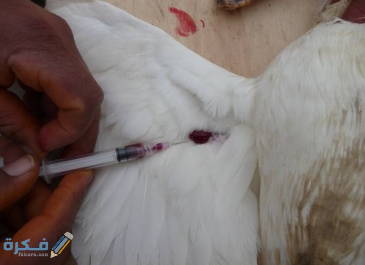 IMG ٢٠٢٠٠٩١٦ ٢٠١٥٢٩