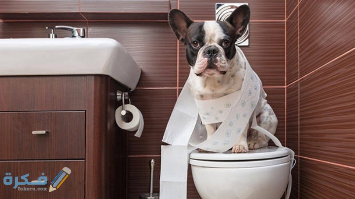 IMG ٢٠٢٠٠٩١٧ ٠٠٥٧٥٩