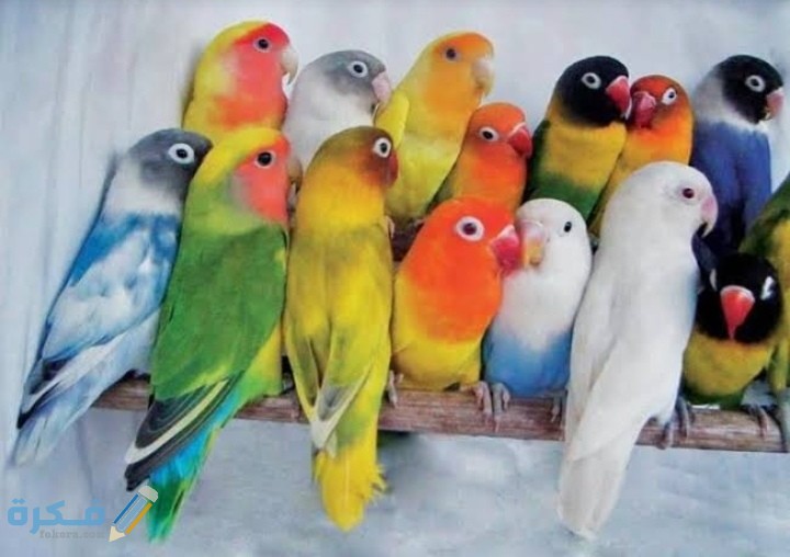 IMG ٢٠٢٠٠٩١٩ ٠٠٢٨٣٩