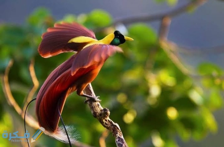 IMG ٢٠٢٠٠٩١٩ ٠٠٣٠٢٣