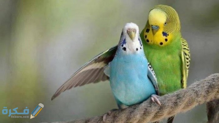 IMG ٢٠٢٠٠٩١٩ ٠٠٣١٠١