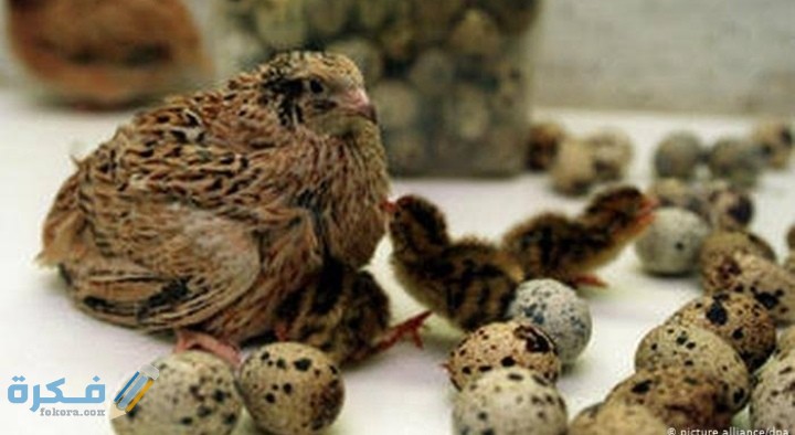 IMG ٢٠٢٠٠٩١٩ ١٤٥٢٢٤