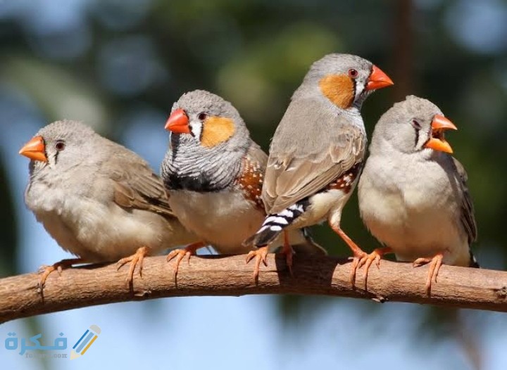 IMG ٢٠٢٠٠٩١٩ ١٤٥٣١٥