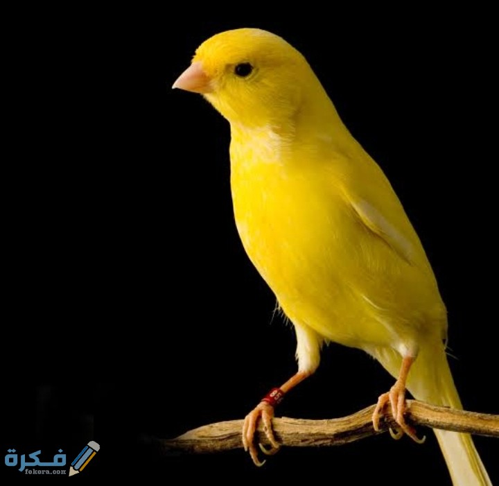 IMG ٢٠٢٠٠٩١٩ ١٤٥٣٢٢