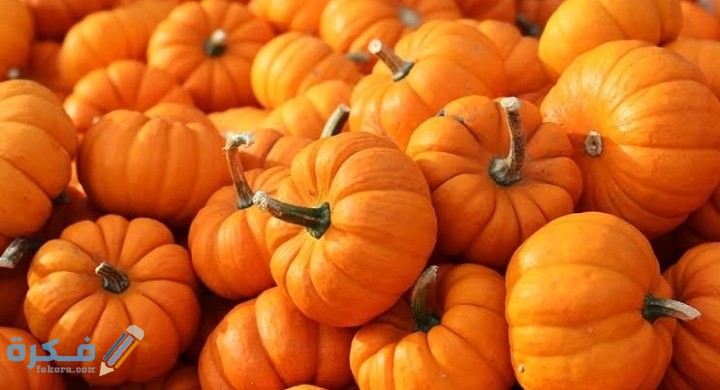 IMG ٢٠٢٠٠٩١٩ ٢٣٠٣٤٣