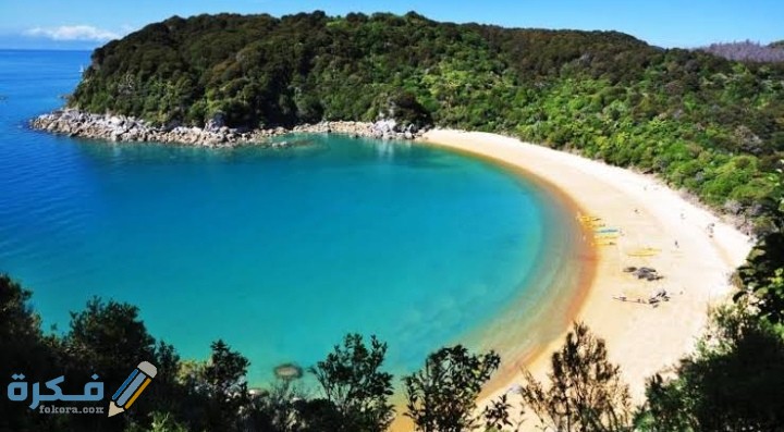 IMG ٢٠٢٠٠٩٢١ ٠٠٠٧٣٠