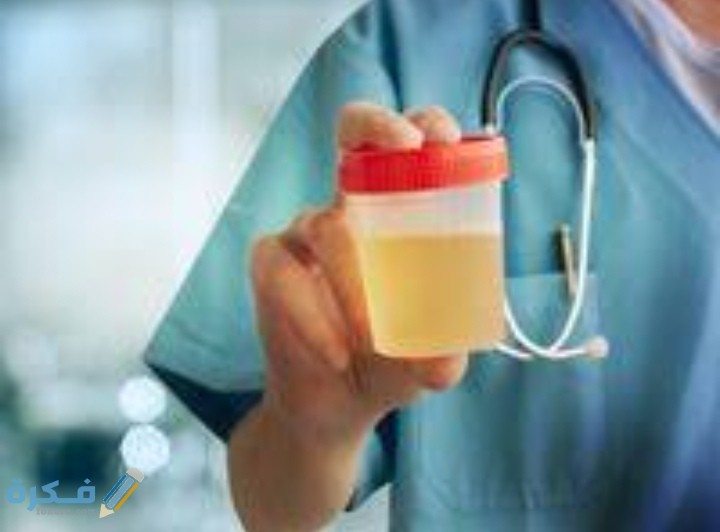 IMG ٢٠٢٠٠٩٢١ ١٩٣٨٥٢