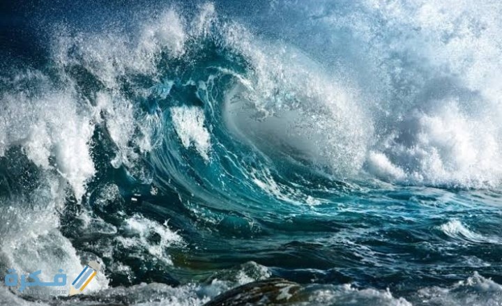 IMG ٢٠٢٠٠٩٢١ ١٩٤١٢٧