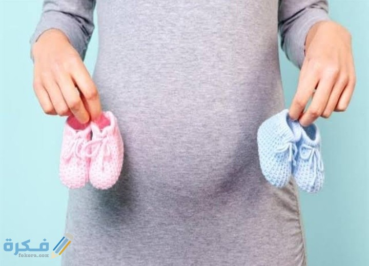 IMG ٢٠٢٠٠٩٢١ ١٩٤١٤٤