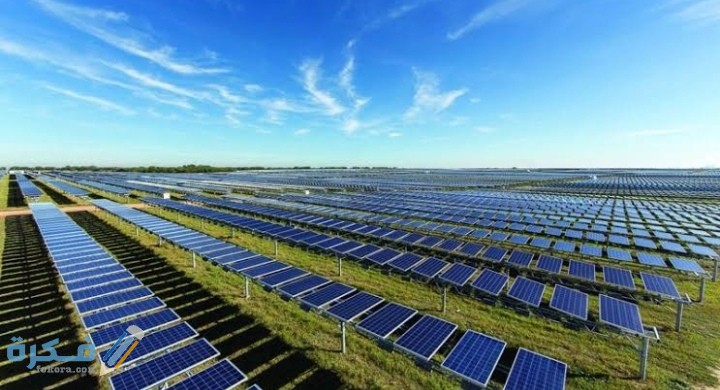 IMG ٢٠٢٠٠٩٢١ ٢٠٣٣٠٧