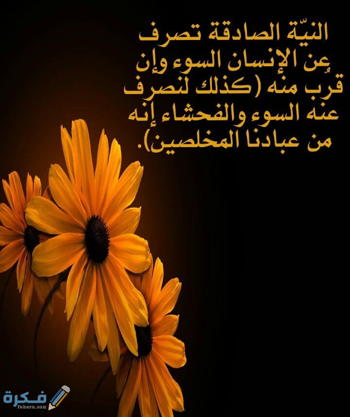 c98acd5319d861dddf6110626e1f29ff