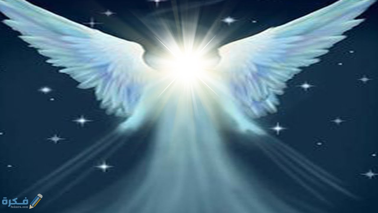 011110d07f8adf71d9d3f9e9fed2d13d