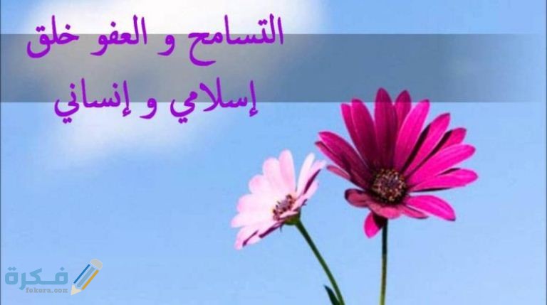 244a42f359d578e3ee26f8091e4eb555