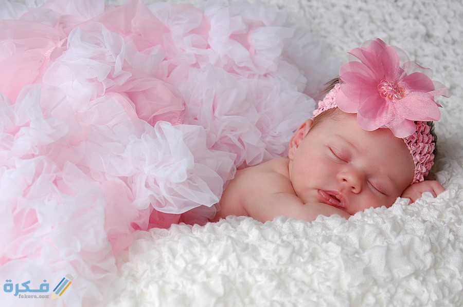 320 3202604 newborn baby photos cute newborn baby girl collective 1