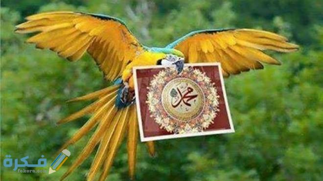 366283 Large 20150630023211 62