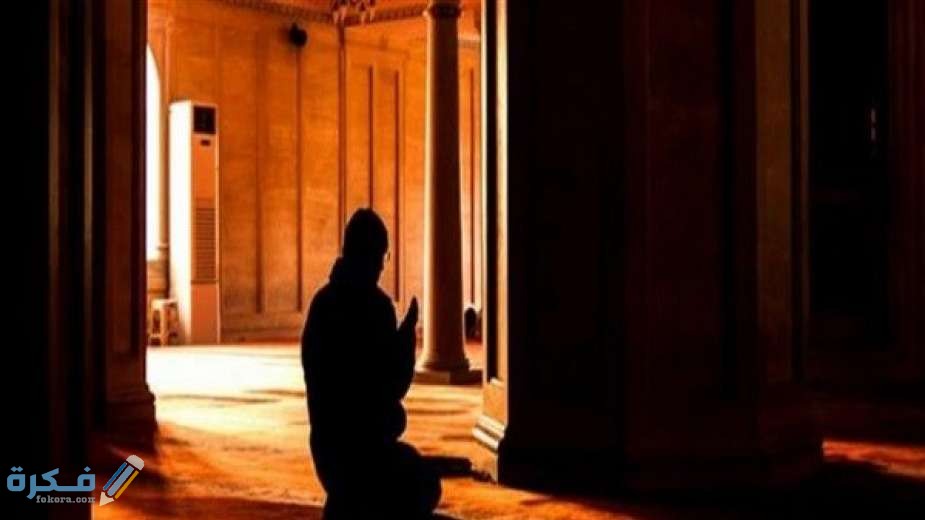 5c6c3b64421aa93ee55bb9f5