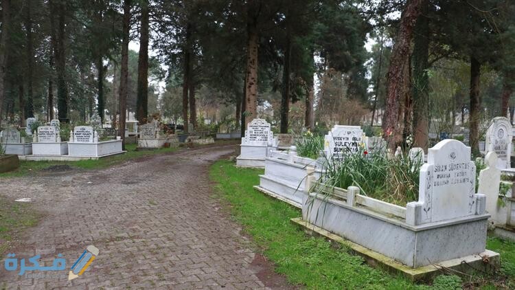 5e1eaf922269a220dcfe2612