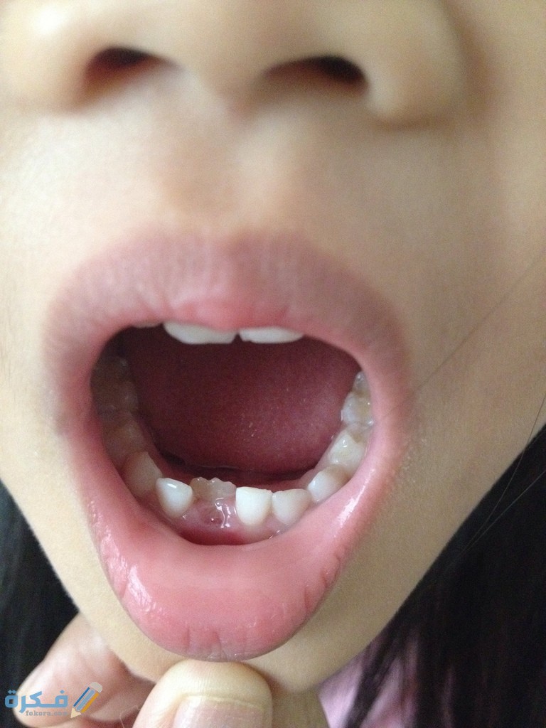 8222764115 4b42095c1b b