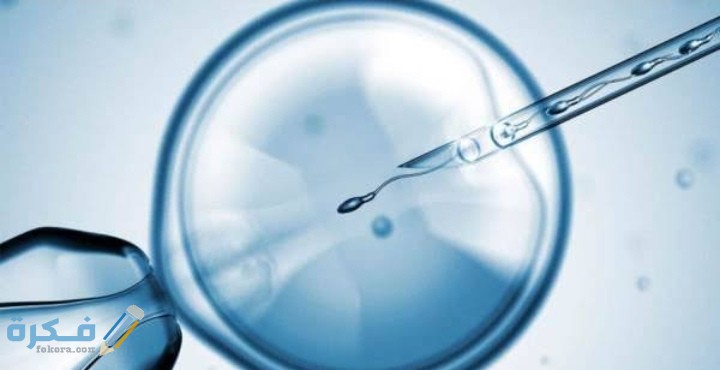 IMG ٢٠٢٠١٠٠٢ ٠٧١٦٣٢