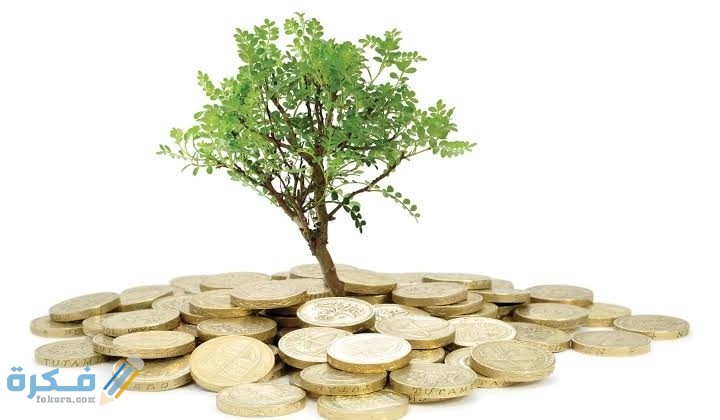 IMG ٢٠٢٠١٠٠٥ ٠٠٢٤٠٥