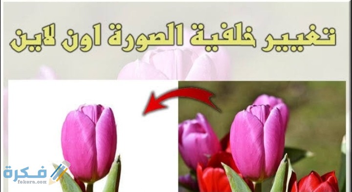 IMG ٢٠٢٠١٠١٦ ٢٠٢٥٠٨