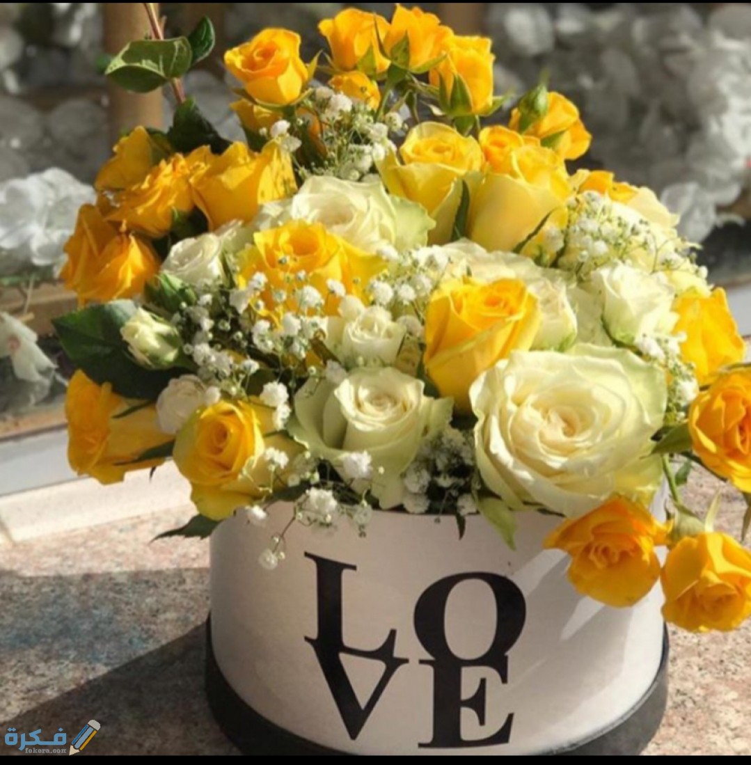 IMG ٢٠٢٠١٠٢١ ١٥٣٦٠٦