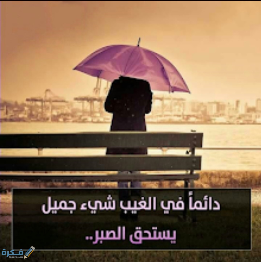 IMG ٢٠٢٠١٠٢٣ ١٠٣٦٣٣